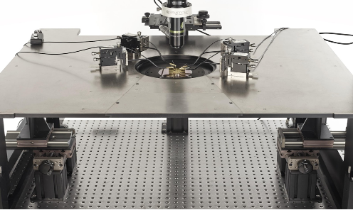 Custom Optoelectronic Probing System